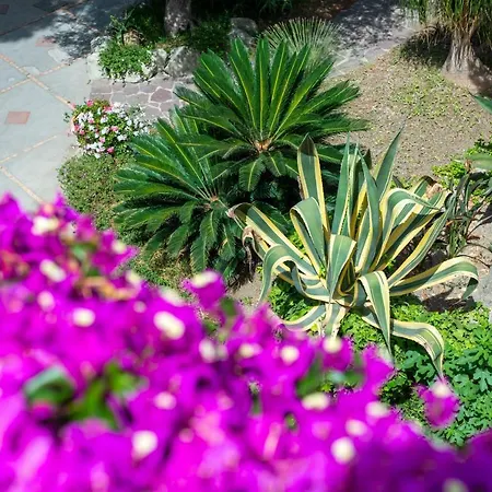 Melodie - Adults Only Hotel Forio (Isola d'Ischia)
